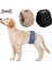 Erkek Köpekler Için 3'lü Paket Yıkanabilir Bebek Bezi [3 Parça], Köpek Eğitimi Için Hijyenik Pantolon, 6 Beden Mevcuttur (S, 30-40CM) (Yurt Dışından) 1