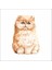 Sevimli Kedi Sticker 5 Duvar Sticker 30X25 cm 1