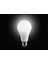 15 W LED Ampul Beyaz 6500 K 10LU Paket 3
