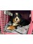 Nakliye Battaniyesi,mobilya Sarma,ambalaj Battaniyesi Kedi-Köpek Battaniyesi 5 Adet 3