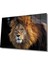Aslan Cam Tablo 1