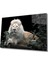 Aslan Cam Tablo 1