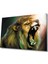Aslan Cam Tablo 1