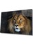 Aslan Cam Tablo 1