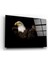 Kartal Cam Tablo 1