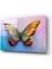 Kelebek Cam Tablo 1