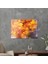 TBY-1233 Cam Tablo 70X100 cm 2