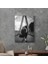 Cam Tablo Vintage Cool 70X100 cm 3
