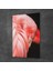Cam Tablo Flamingo 70X100 cm 2
