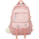  Renk Pembe