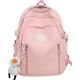  Renk Pembe