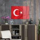 Seçili Renk Renkli