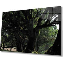 Eliza Home  Yeşil  Ağaç Manzara Green Tree Landscape