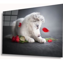 Eliza Home  Köpek ve Gül Cam Tablo