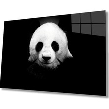 Eliza Home  Panda Hayvan Cam Tablo