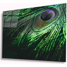 Eliza Home  Tavuskuşu Tüy Cam Tablo