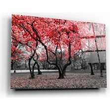 Eliza Home   Orman Cam Tablo