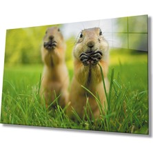 Eliza Home  Sincap Cam Tablo