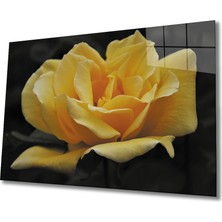 Eliza Home  Gül Cam Tablo