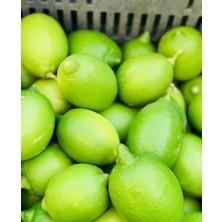 Bahçemden Köy Ürünleri Yeşil Limon 5 kg