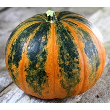 Zengarden Kakai Kabuksuz Kabak Çekirdeği Kabağı Tohumu Stryian Pumpkin
