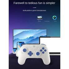 Gui Xulian Switch Pro Bluetooth Gamepad Ns OLED Saplı, Burst Vibration Lite Gamepad Beyaz (Yurt Dışından)