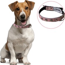 Xnews Yumuşak Dokulu Deri Köpek Gezdirme Boyun Tasması Medium