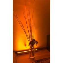 Ledmira 10 cm ( 3W ) Amber Rengi Wallwasher Duvar, Ağaç ve Cami Boyama (Amber)