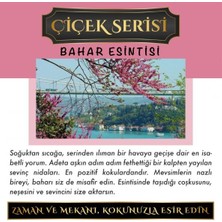 Koku Hanem Meczub Çiçek Serisi Bahar Esintisi 5 Adet 12 ml Heybet Şişe Oto Kokusu Araç Araba Parfümü