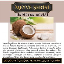 Koku Hanem Ölümsüz Aşk Meyve Serisi Hindistan Cevizi 5 Adet 12 ml Heybet Şişe Oto Kokusu Araç Araba Parfümü