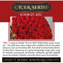 Koku Hanem Ölümsüz Aşk Çiçek Serisi Kırmızı Gül 10 Adet 10 ml Üçgen Şişe Oto Kokusu Araç Araba Parfümü
