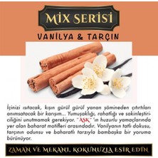 Koku Hanem Ölümsüz Aşk Mix Serisi Vanilya & Tarçın 10 Adet 12 ml Heybet Şişe Oto Kokusu Araç Araba Parfümü