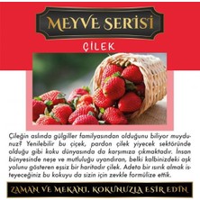 Koku Hanem Ölümsüz Aşk Meyve Serisi Çilek 10 Adet 12 ml Elma Şişe Oto Kokusu Araç Araba Parfümü
