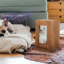 Eakren Köpekler Kediler Için Evcil Vazosu Cinerary Tabut Anıt Hatıra Ahşap (Yurt Dışından)