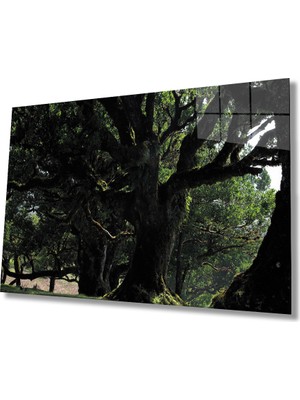 Eliza Home  Yeşil  Ağaç Manzara Green Tree Landscape