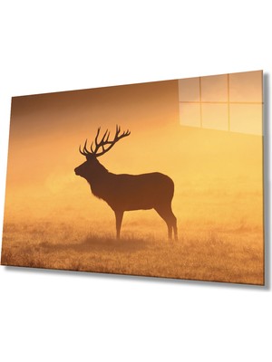 Eliza Home  Gün Batımı Manzarasında Geyik Cam Tablo