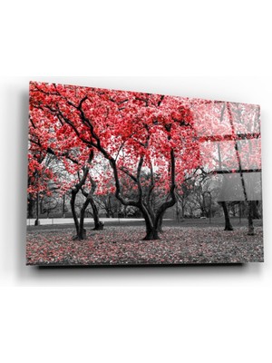 Eliza Home   Orman Cam Tablo