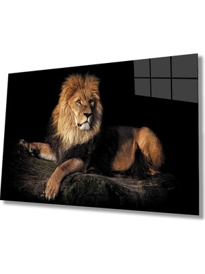 Eliza Home  Aslan Cam Tablo