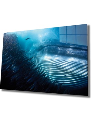 Eliza Home  Sualtı Hayvanlar Cam Tablo Marine Life