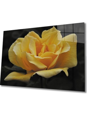 Eliza Home  Gül Cam Tablo