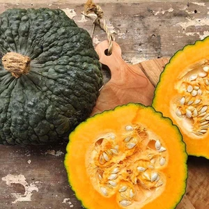 Atalık Marina De Chioggia Kışlık Balkabağı Tohumu