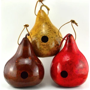 Kırlangıç Yuvası Su Kabağı Tohumu Martin House Gourd