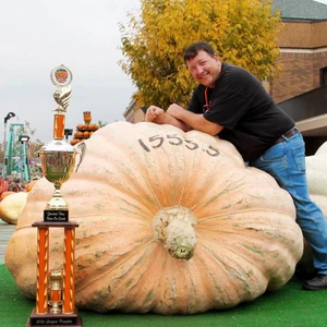 Dev Balkabağı Tohumu Show Winner Atalık Tohum