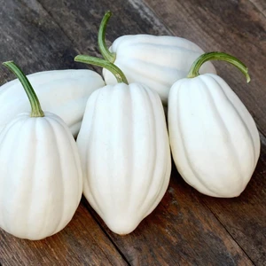 Patates Püresi Kışlık Kabak Tohumu Mashed Patato