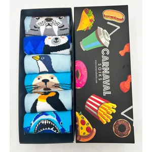 Carnaval Socks 6'lı Deniz ve Buzul Hayvanları Desenli Çorap Seti