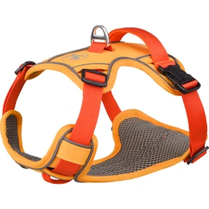 Yansıtıcılı Köpek Göğüs Tasması - Altın (Yurt Dışından)