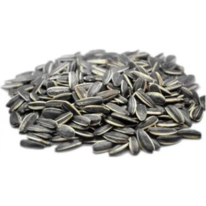 Çekirdek Ayçekirdeği Çiğ Yerli Dakota 1 kg