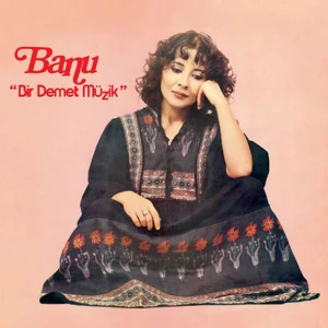 Banu Bir Demet Müzik Plak