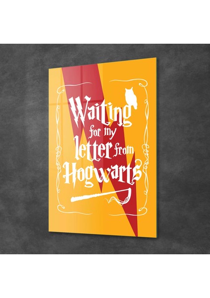 Cam Tablo Harry Potter Hogwarts Letter 30X40 cm