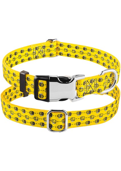 Köpek Boyun Tasması (Yurt Dışından)